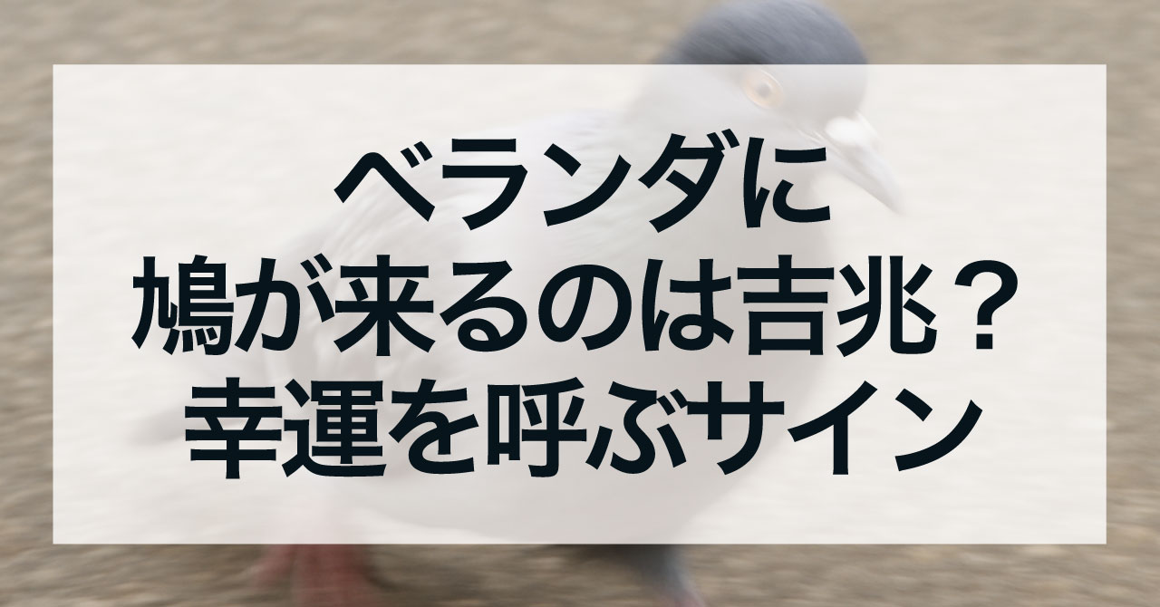 ベランダに鳩が来るのは吉兆？幸運を呼ぶサインの真意