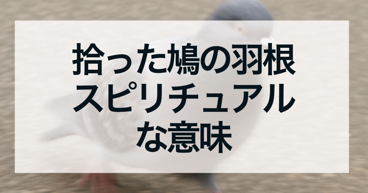 拾った鳩の羽根や落ちている鳩の羽のスピリチュアルな意味