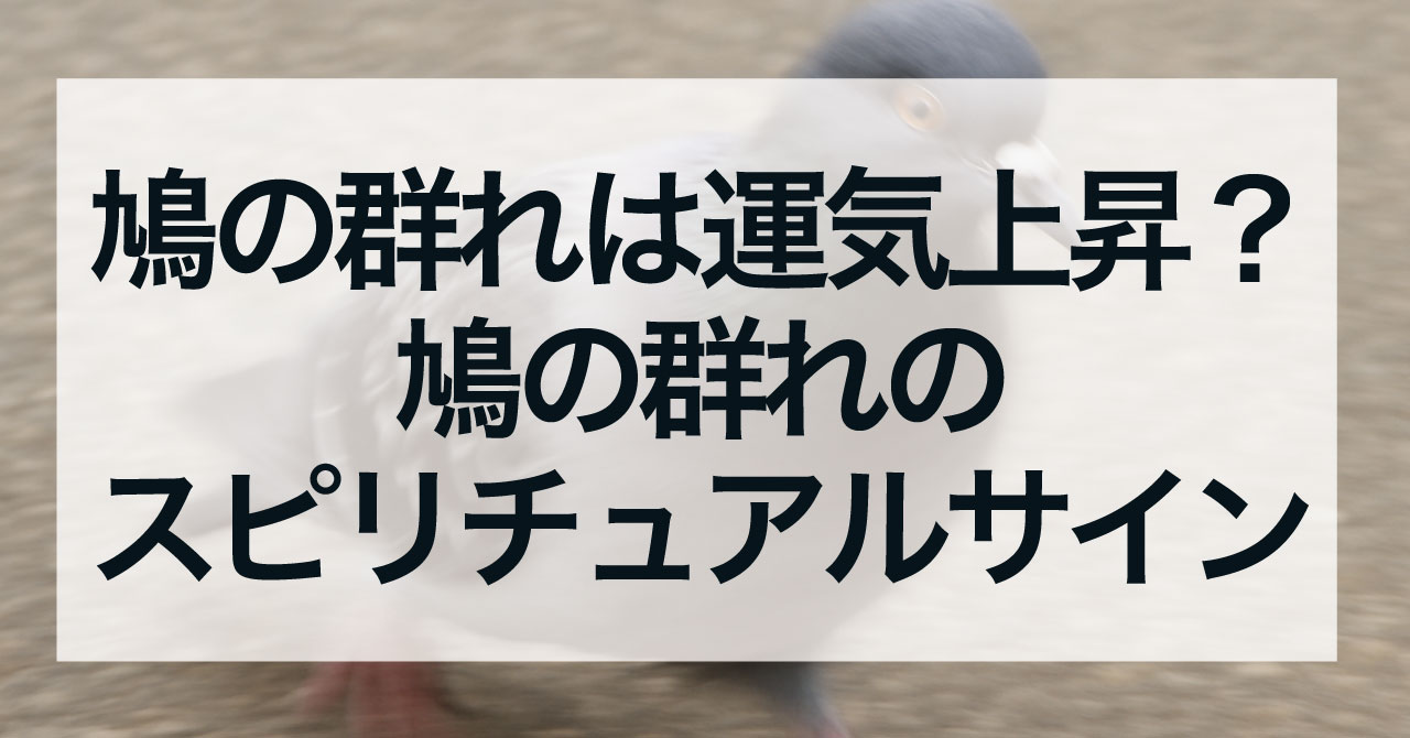 鳩の群れを見たら運気上昇？鳩の群れのスピリチュアルサイン
