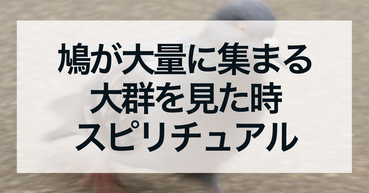 鳩が大量に集まる・大群を見た時のスピリチュアルな意味