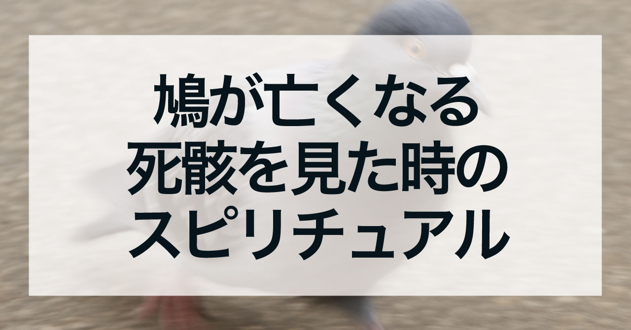鳩が亡くなる死骸を見た時のスピリチュアルな意味