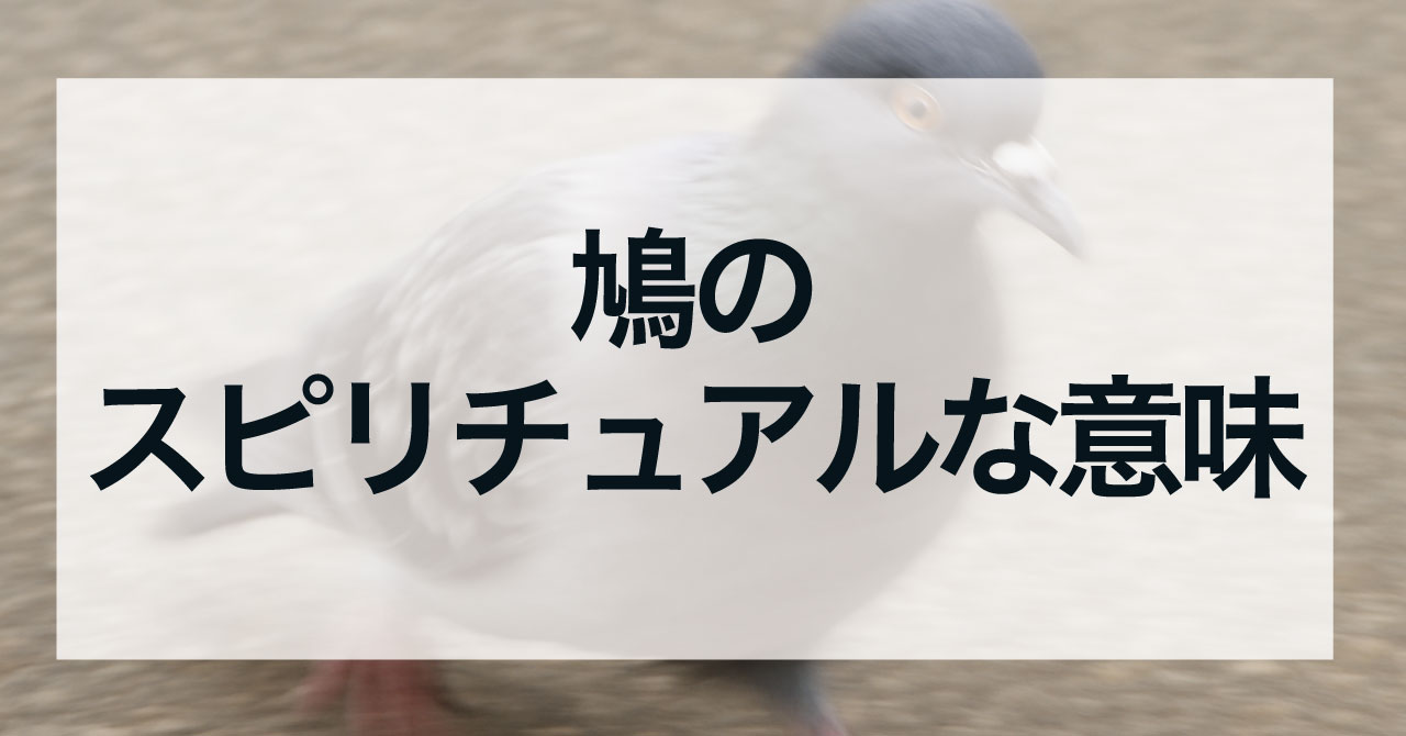 鳩のスピリチュアルな意味