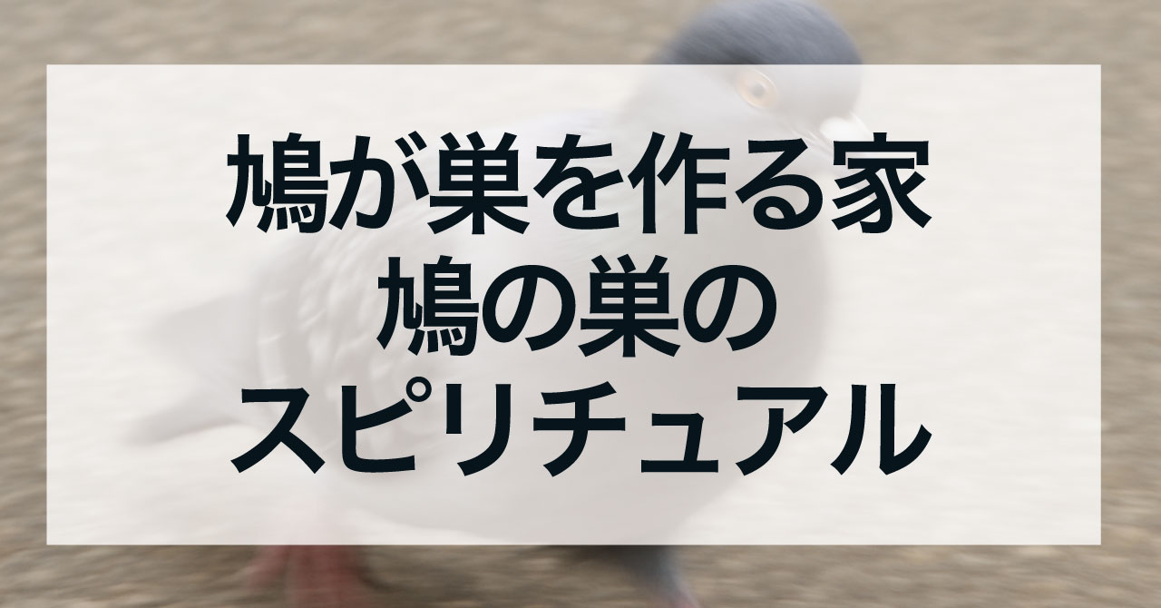 鳩が巣を作る家は吉兆？鳩の巣のスピリチュアル