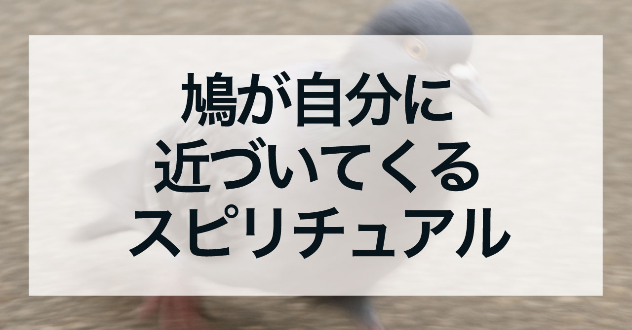 鳩が自分に近づいてくるスピリチュアルメッセージ