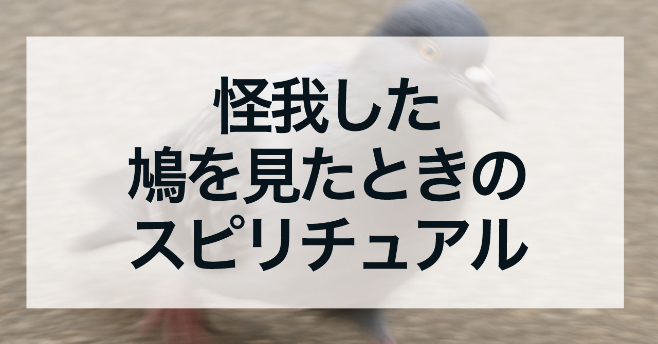 怪我した鳩を見たときのスピリチュアルな注意と意味