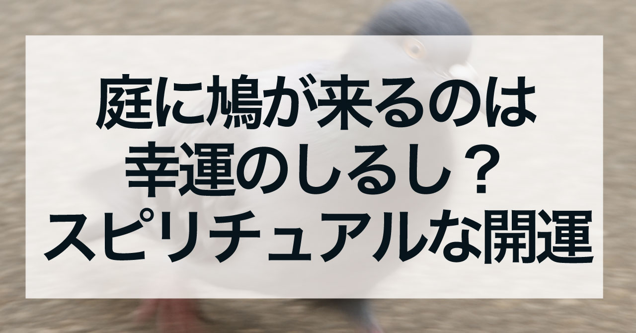 庭に鳩が来るのは幸運のしるし？鳩のスピリチュアルな開運サイン