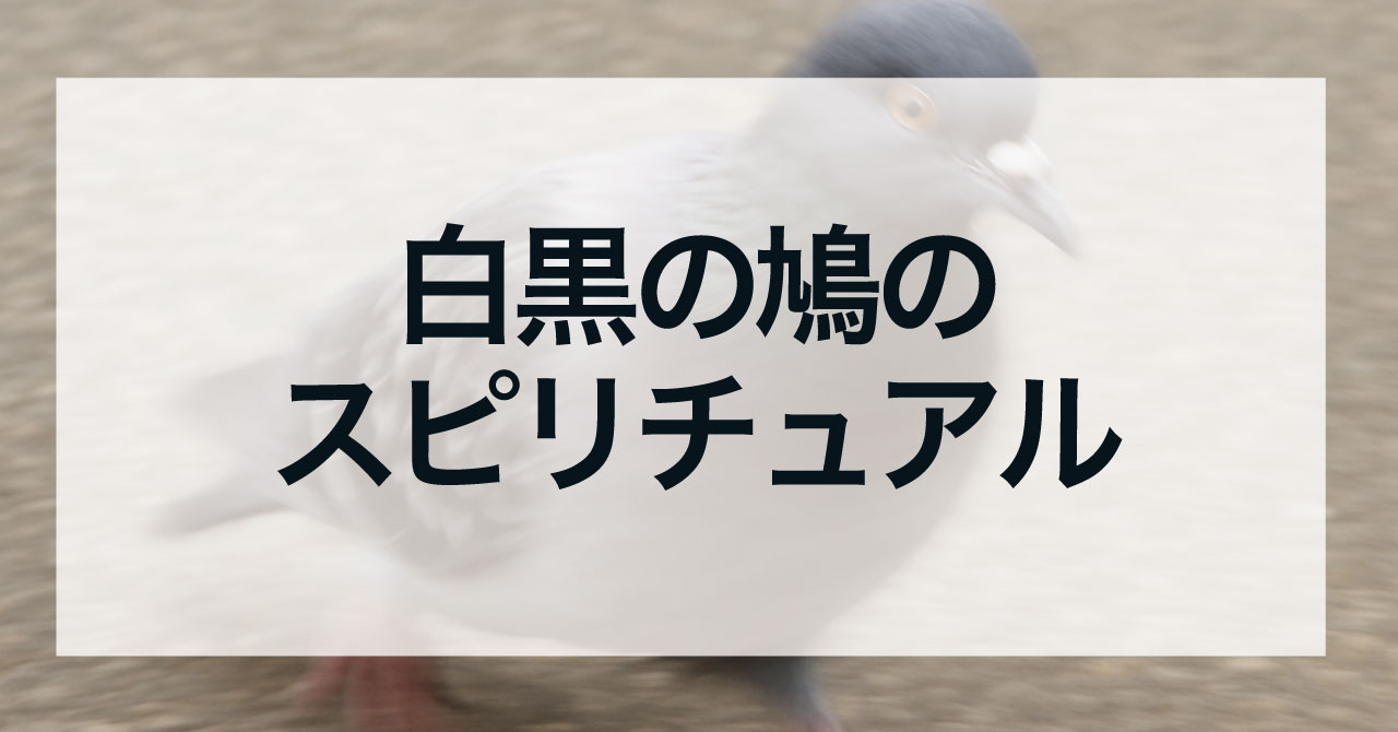 白黒の鳩のスピリチュアル