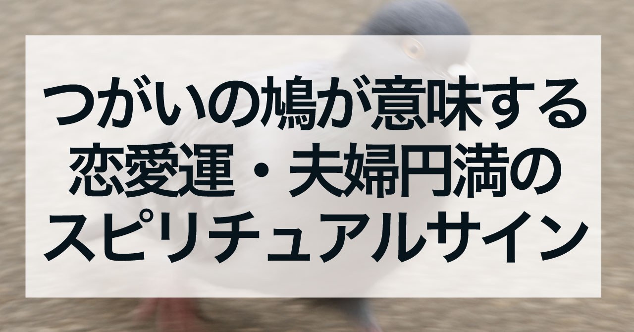 つがいの鳩が意味する恋愛運・夫婦円満のスピリチュアルサイン