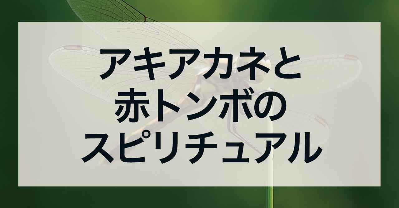 アキアカネと赤トンボのスピリチュアル