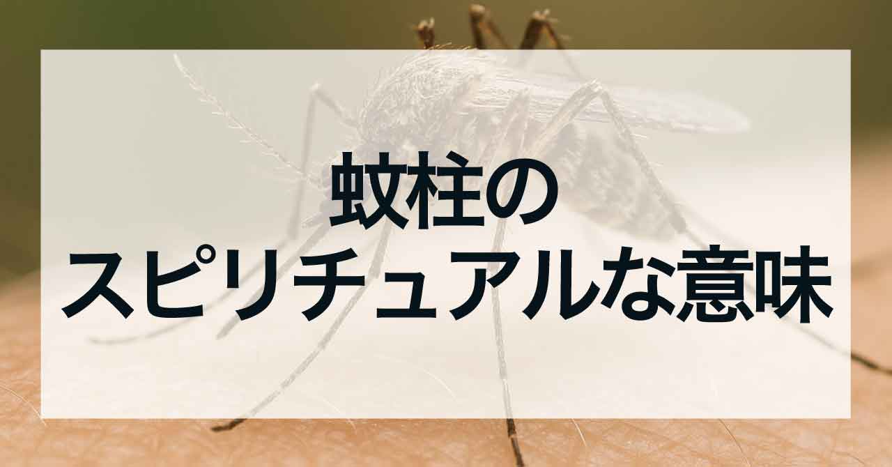 蚊柱のスピリチュアルな意味とメッセージ