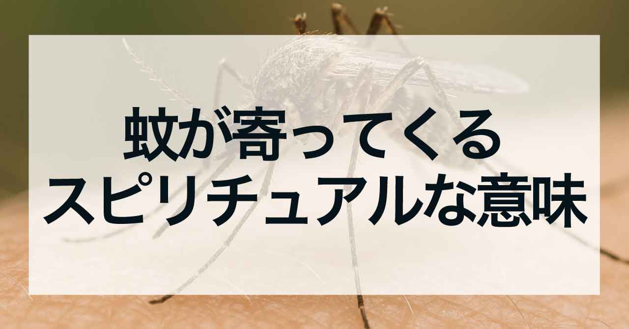 蚊が寄ってくるスピリチュアルな意味とメッセージ