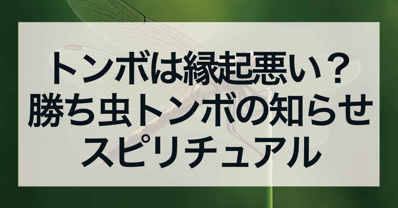 トンボは縁起悪い？勝ち虫トンボの知らせとスピリチュアル