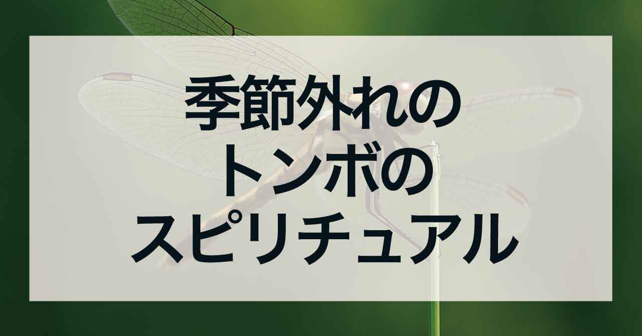 季節外れのトンボのスピリチュアル