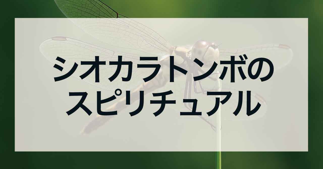 シオカラトンボのスピリチュアル