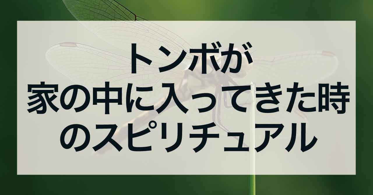トンボが家の中に入ってきた時のスピリチュアル