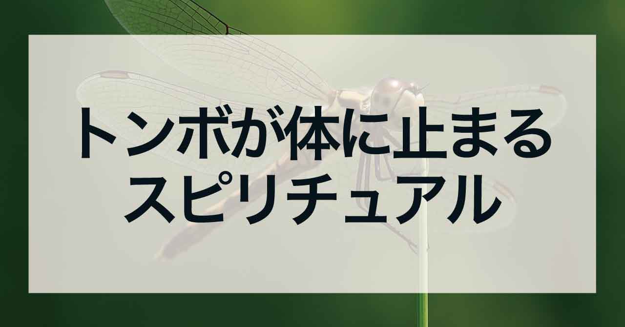 トンボが体に止まるスピリチュアル