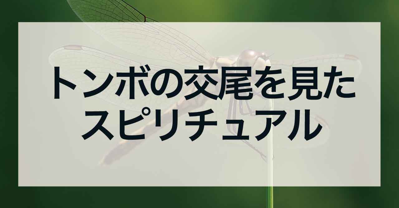 トンボの交尾を見たスピリチュアル