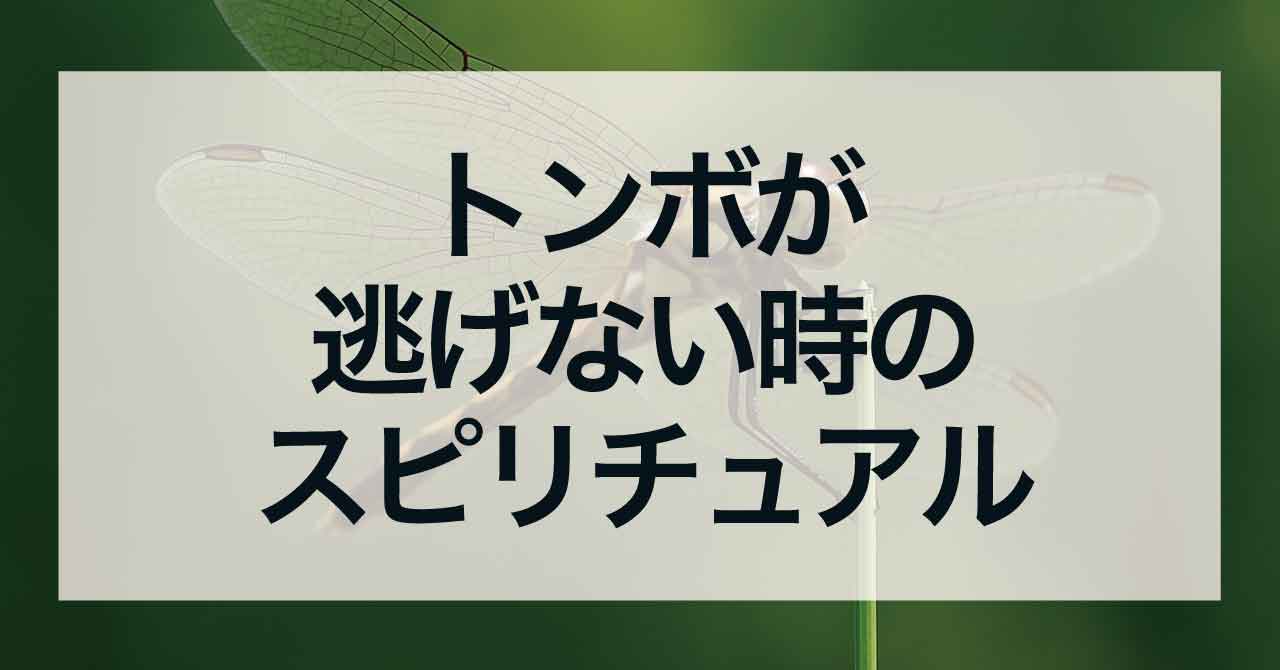 トンボが逃げない時のスピリチュアル