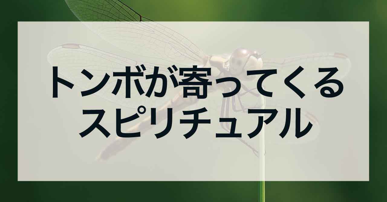 トンボが寄ってくるスピリチュアル